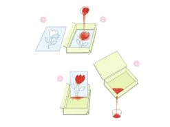 Djeco DJ08663 - Sables Colorés - Eblouissants Oiseaux -Petit Monde Soldes djeco dj08663 sables colores eblouissants oiseaux 1600 4